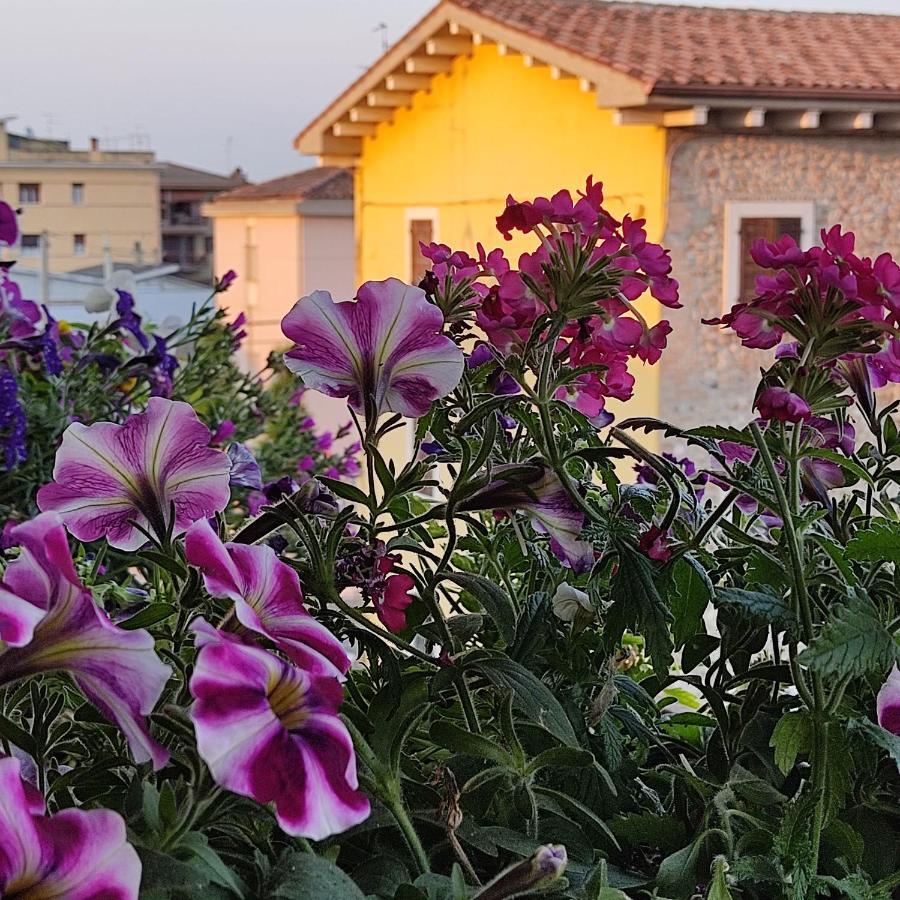 Lovely Casa Paola Villlafranca Centro Zimmer Rooms Villafranca di Verona Extérieur photo